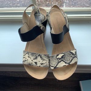 Pierre Dumas Snake print Wedges